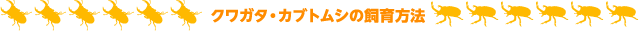 ���塞�������֥ȥॷ�λ�����ˡ