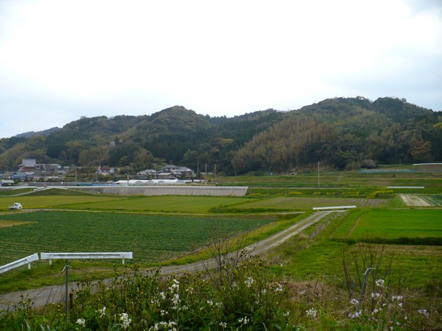 農村の風景