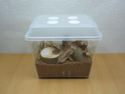 100607BecaseM-3.jpg
