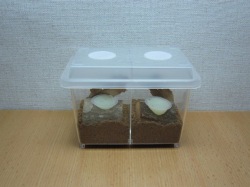 仕切り板の使用例
