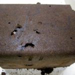 トカラノコギリクワガタの産卵セットの割り出し【2014年12月23日の飼育情報】
