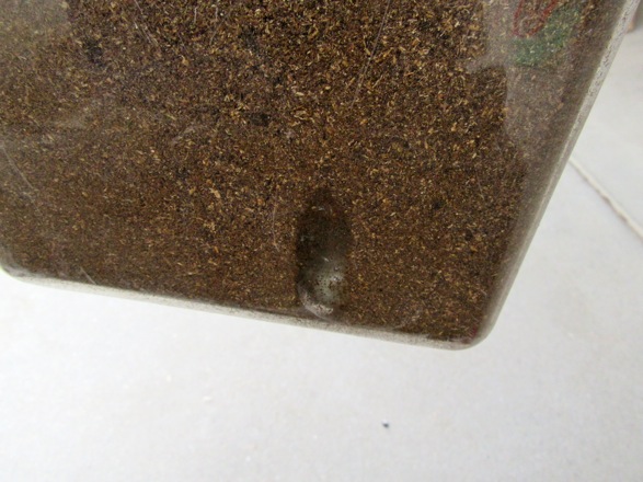 カブトムシの蛹室