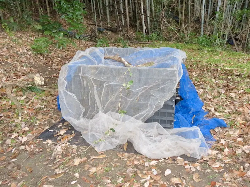 堆肥枠に暴風ネットを掛けます