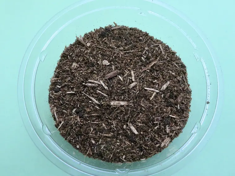 発酵クヌギ成虫専用マットの粒子