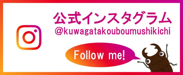 公式インスタグラム @kuwagatakouboumushikichi Follow me!