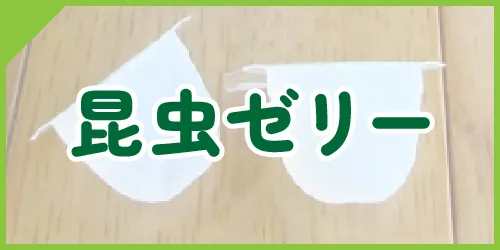 昆虫ゼリー