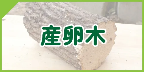 産卵木