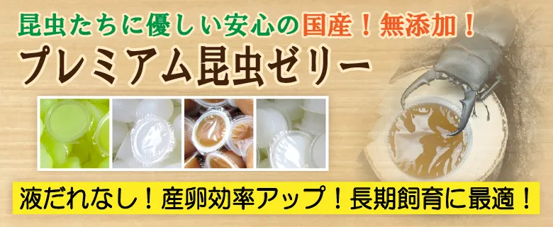 プレミアム昆虫ゼリー
