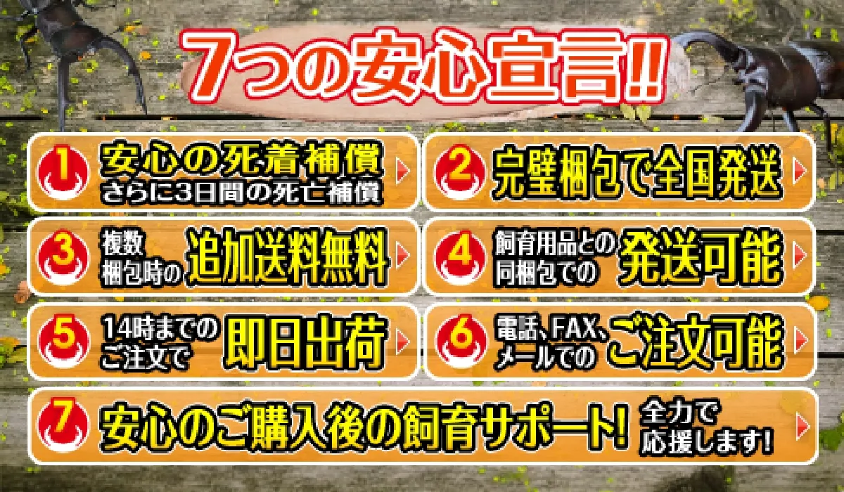 7つの安心宣言