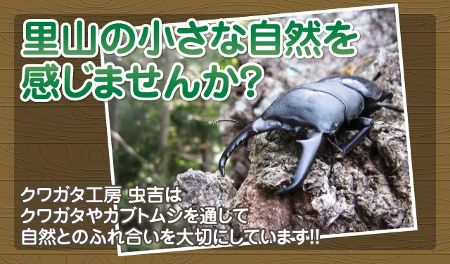 里山の小さな自然を感じませんか？