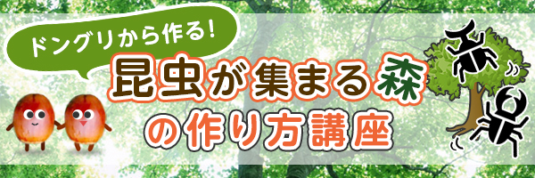 ドングリから作る昆虫が集まる森の作り方講座