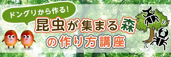 ドングリから作る！昆虫が集まる森の作り方講座