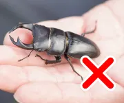 逃がさないで!
