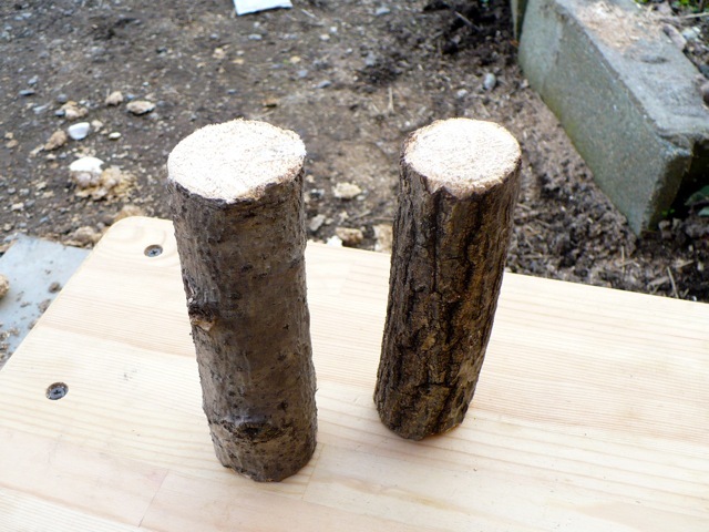 代引不可 止まり木 転倒防止材 ミニサイズ 直径20ミリ以下 長さ約120ミリ