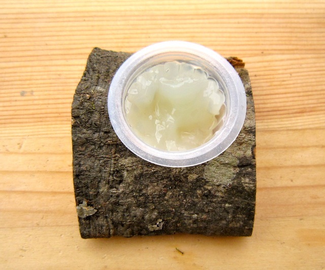 昆虫ゼリーをスプーンで量を減らして与えます。