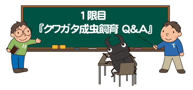 クワガタと飼育用品の販売 クワガタ工房 虫吉