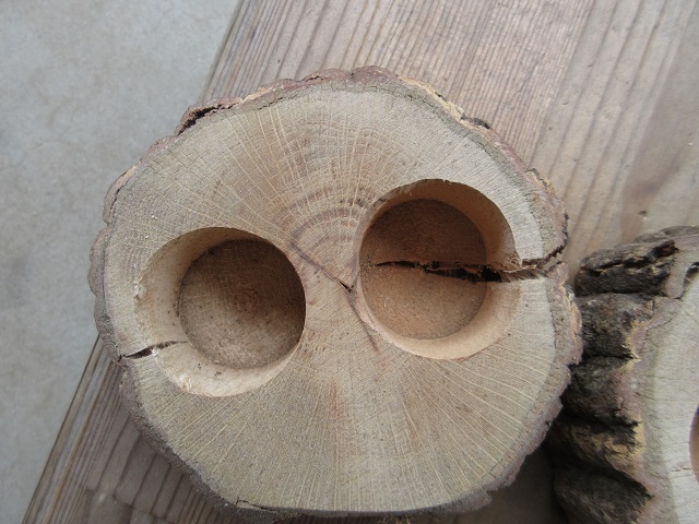 訳あり、18ｇワイドカップエサ皿2つ穴開き