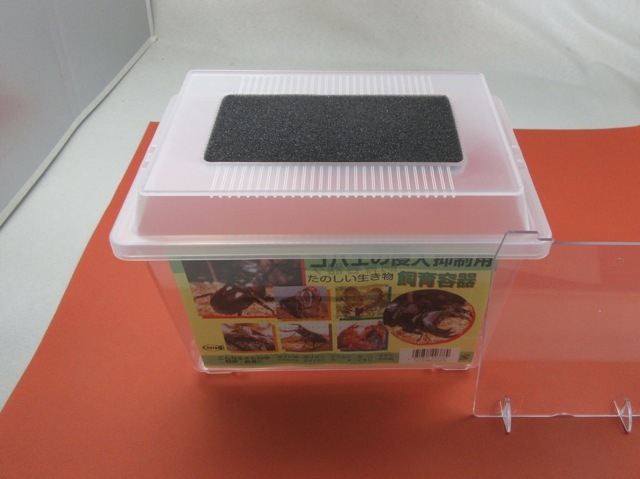 コバエ防止飼育ケース（小）