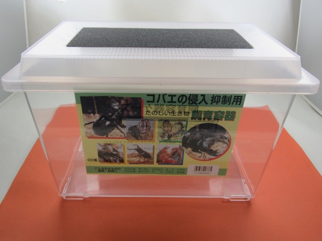 コバエ防止飼育ケース（大）