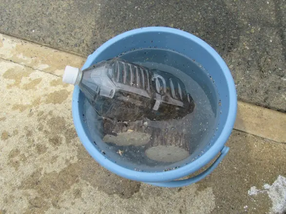 産卵木に重石を乗せて加水