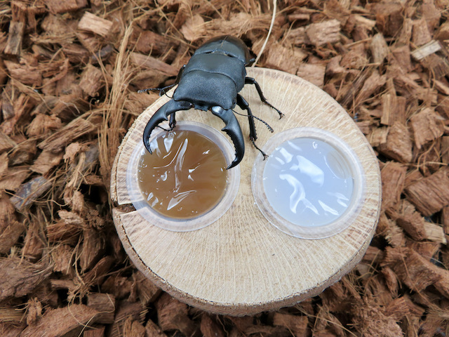 ゼリーをセットした実際の使用例