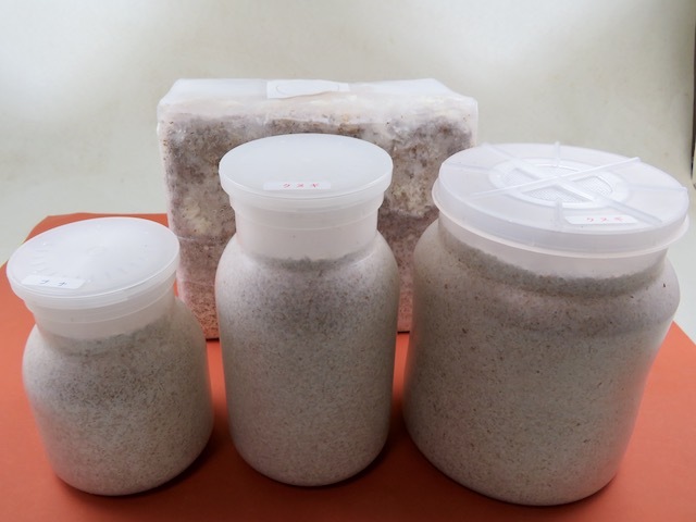 菌糸ビン 菌床ブロックの販売 クワガタ工房 虫吉