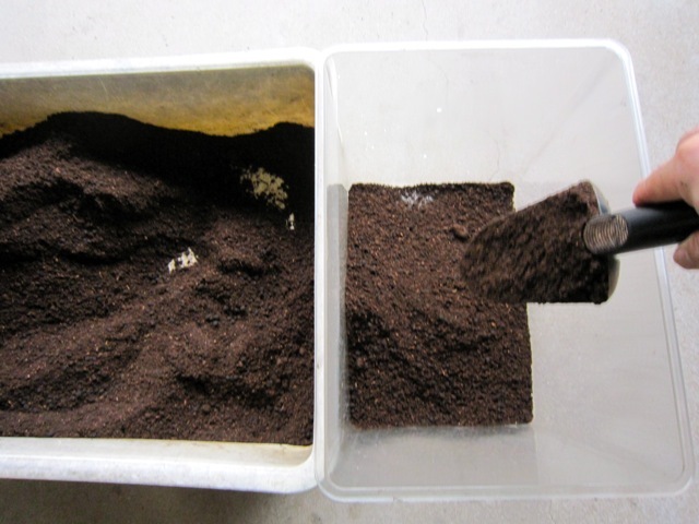 コバエ防止ケースに産床用の土をいれる