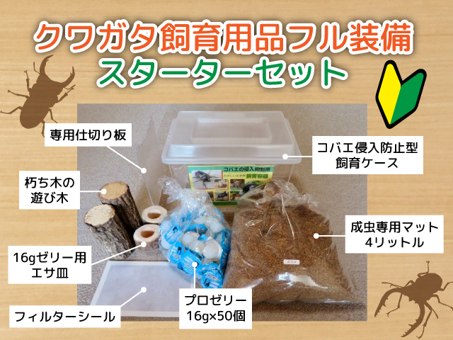 飼育セット