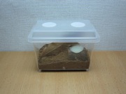 Beケースミニ