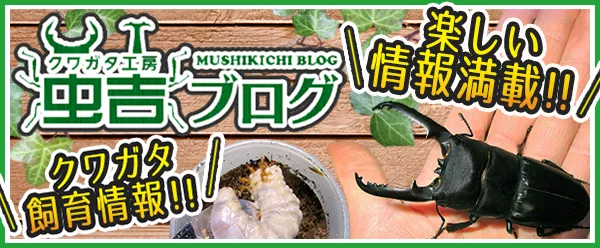 虫吉ブログ