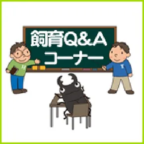 飼育Q&Aコーナー
