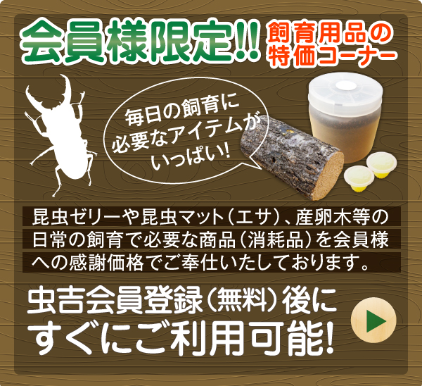 会員様限定！！飼育用品の特価コーナー