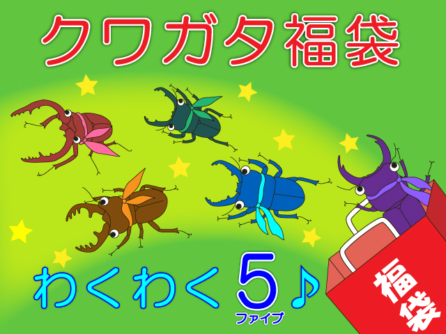 わくわく5