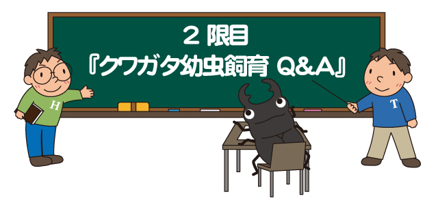 幼虫飼育の質問と回答