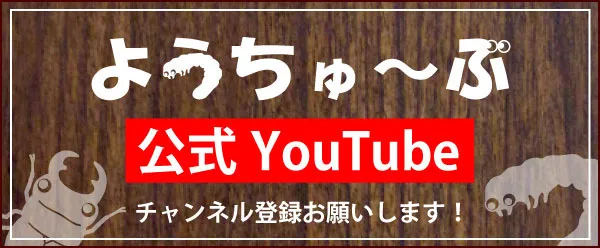 ようちゅ～ぶ 公式YouTube チャンネル登録お願いします！